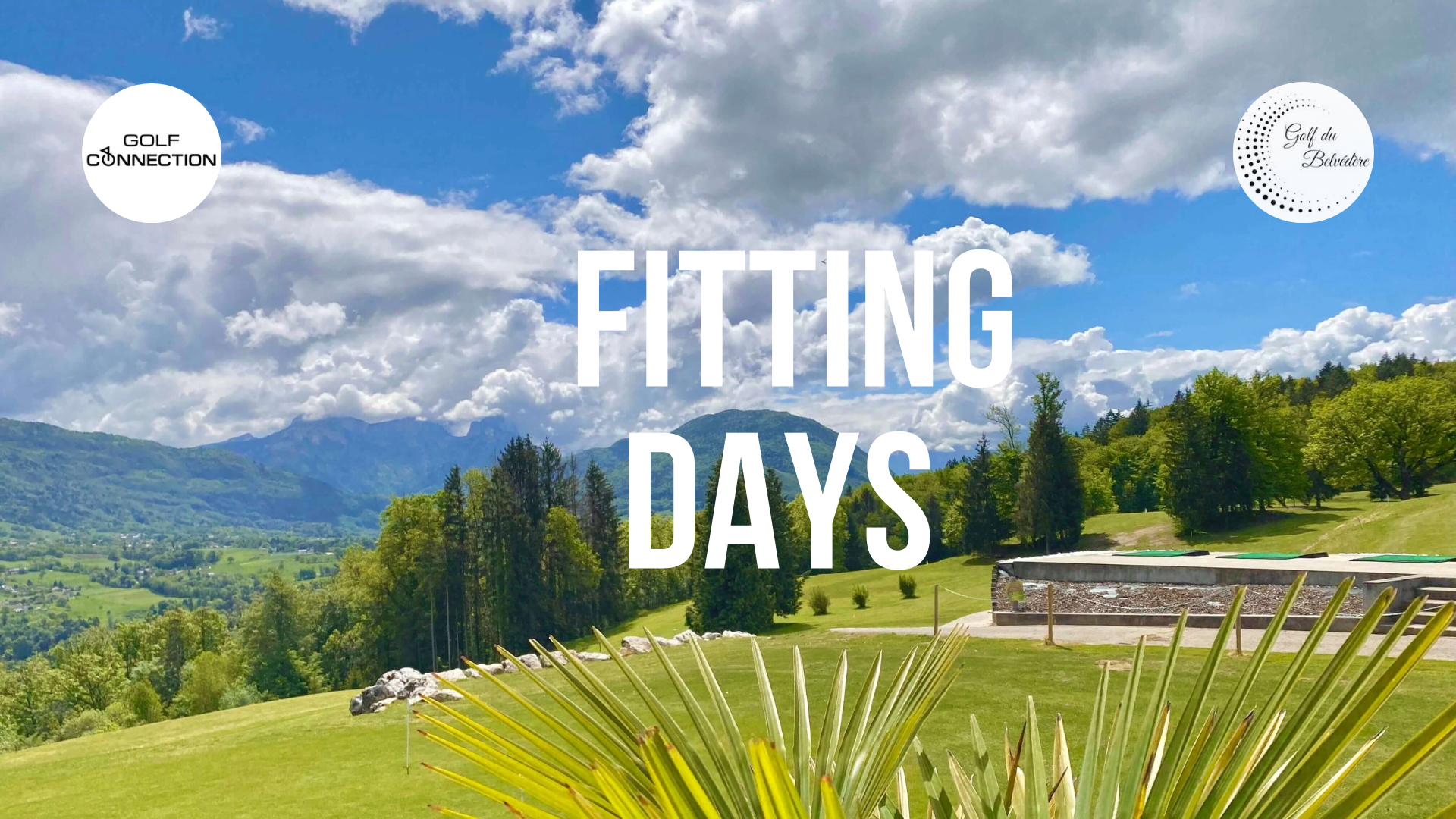 Golf Fitting
