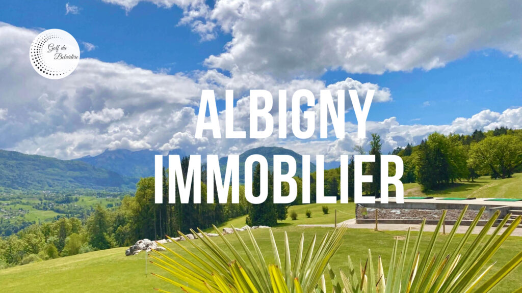 Albigny Immobilier