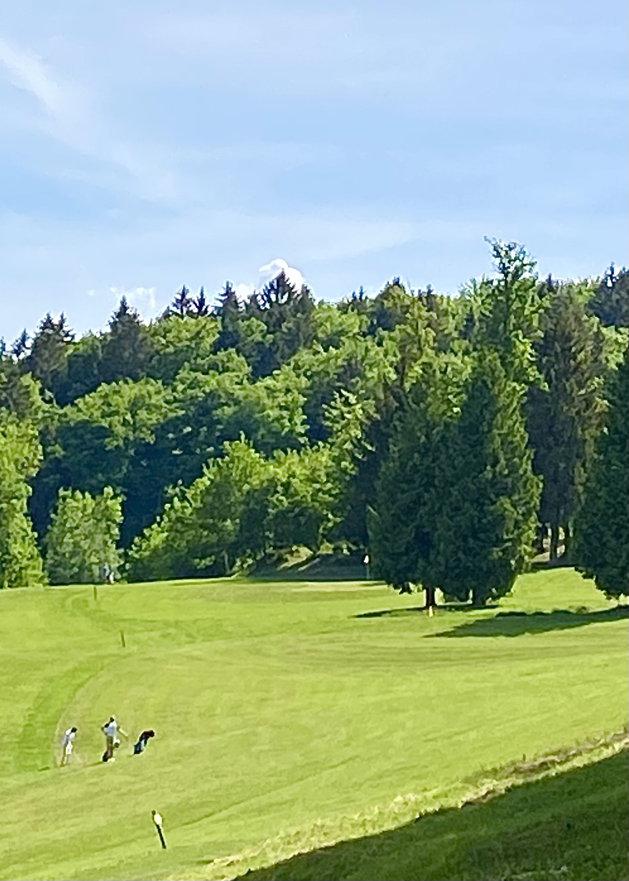Fairway en régulation : comprendre et améliorer cette statistique clé au golf