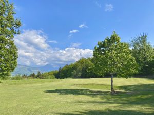 Découvrez les erreurs qui empêchent d’améliorer son handicap au golf et comment les corriger efficacement.
