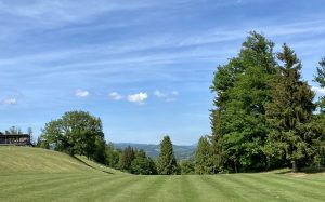 Comment driver au golf en 5 étapes