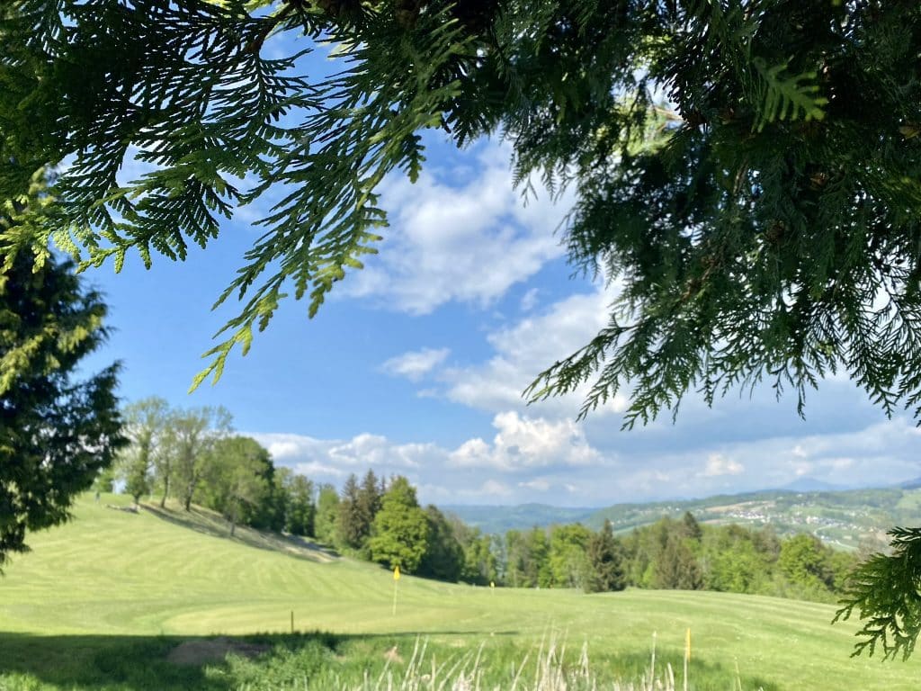 tarifs du golf