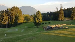 Balle punchée au golf : technique, différences